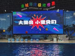 -泉城欧乐堡海洋极地世界