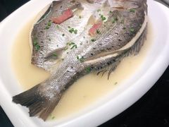 -高第街56号餐厅(银座商城玉函店)