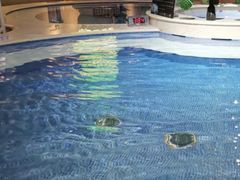 -水晶之星洗浴温泉汗蒸