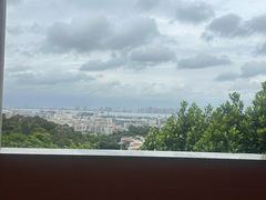 -仙岳公园