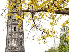 -上海佘山国家森林公园天马山园