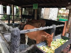 -御温泉·大餐庙会