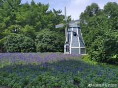 -黑龙江省森林植物园