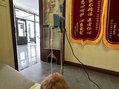 -宠爱国际动物医院· 猫科· 外科·中兽医(长白店)