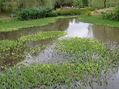 -沐仙湖湿地公园