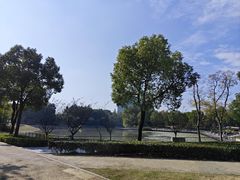 -南翔镇银翔湖公园
