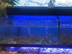 -透明思烤·自助烤肉海鲜火锅(东部星悦天地店)