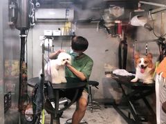 -PETKIT小佩宠物(昭化店)