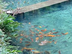 -雁荡山雁湖景区