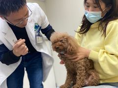 -喜多萌中农锦绣动物医院24H·猫科·牙科MRI·CT