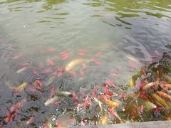 -月牙潭公园