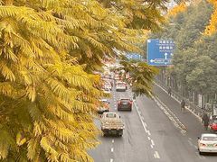 -春熙路步行街