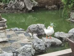 -祝家花園(伯渎港店)