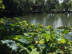 -浙江西子宾馆·瑶园咖啡厅