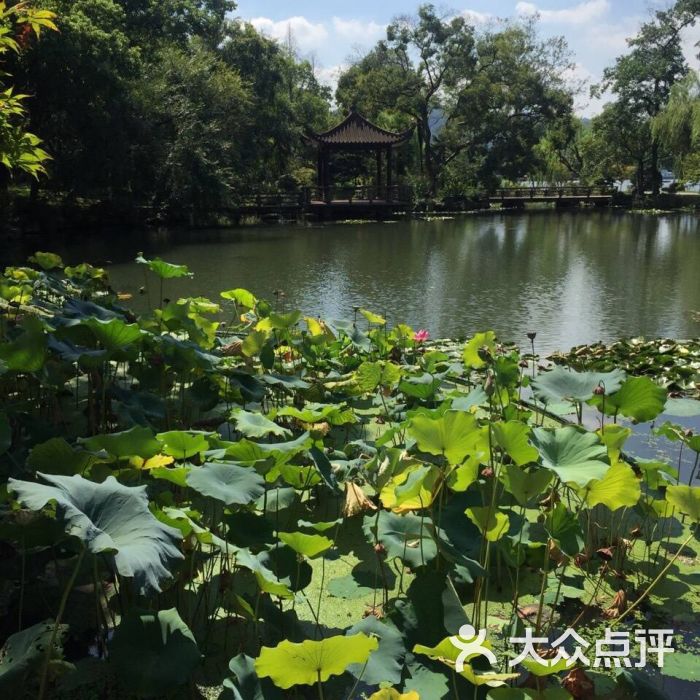 西子宾馆瑶园图片 - 第74张