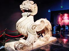 -洛阳博物馆