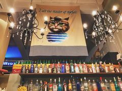 -猫咪博物馆(顶澳仔猫街店)