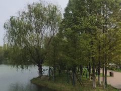 -洋湖国家湿地公园