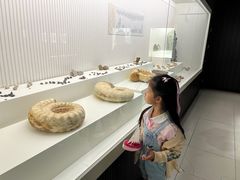 -青岛贝壳博物馆