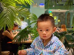 -春润大地海南椰子鸡(沙井京基百纳广场店)