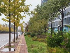 -烟台金沙滩喜来登度假酒店