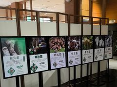 -黔蘑菇四季餐厅(观山湖店)