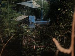 -谷咖啡·鲜花绿植花园餐厅