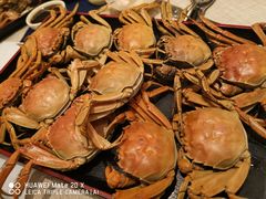 螃蟹-东方红海鲜百汇(国际大厦店)