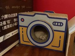 -H立方实景剧情密室(天河旗舰店)