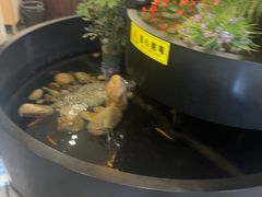 -九寨沟石锅鱼(沣峪口二十年店)
