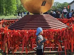 -溱湖国家湿地公园