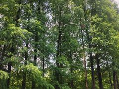 -华南国家植物园-售票处