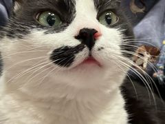 -路易时光(蕴川路店)