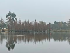 -白鹭湾湿地公园