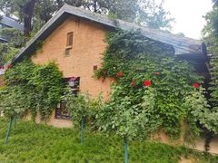 -西安电影制片厂