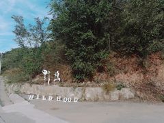 -日光山谷营地乐园