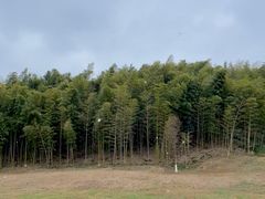 -良渚古城遗址公园