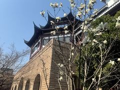 -苏州吴宫泛太平洋酒店