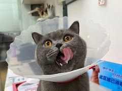 -宠颐生中康贝怡动物医院