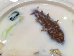 -鲁宴·鲁煨黄河生态大鲤鱼(月坛店)