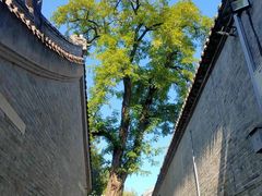 -白云观