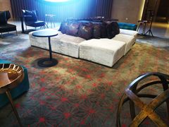 -南京禄口机场雅高铂尔曼大酒店