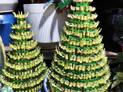 -青石桥花鸟鱼虫市场(叠翠城店)