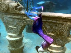 -上海玛雅海滩水公园