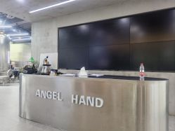 -ANGELHAND