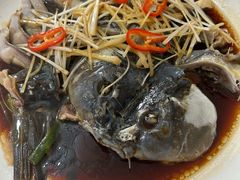 -煲来饱去冷水鱼