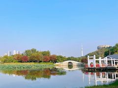-月湖风景区