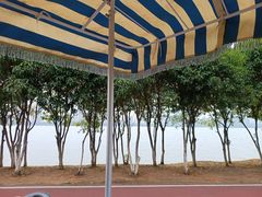 -艾溪湖湿地公园