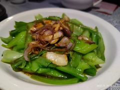 葱油泡水东芥-粤·向群饭店(龙津东路总店)
