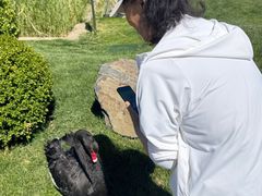 -北京北辰洲际酒店